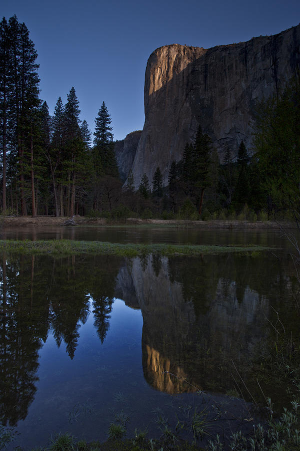 Yosemite National Park Photograph - Reflections of El Capitan by Rick Berk