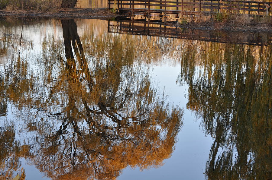 Reflections of Fall Photograph by Daniel Ness