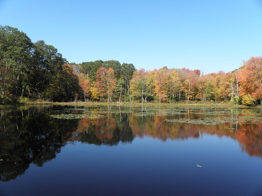 reflections of fall foliage in CT Photograph by Kim Galluzzo