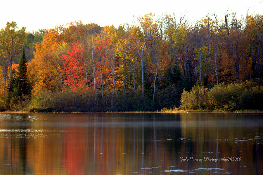 Reflections of Fall Photograph by Jale Fancey
