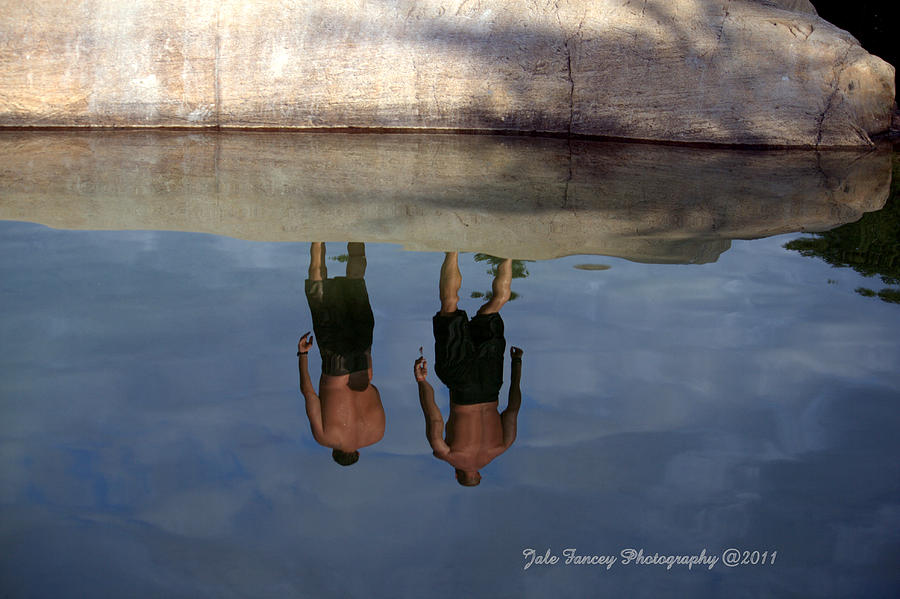 Reflections of Swimming Photograph by Jale Fancey