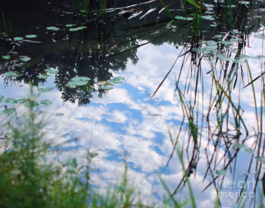 Reflections Of The Sky Photograph by Smilin Eyes Treasures