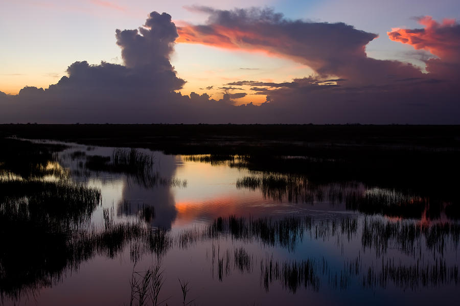 Reflections on the Everglades Photograph by Ed Gleichman
