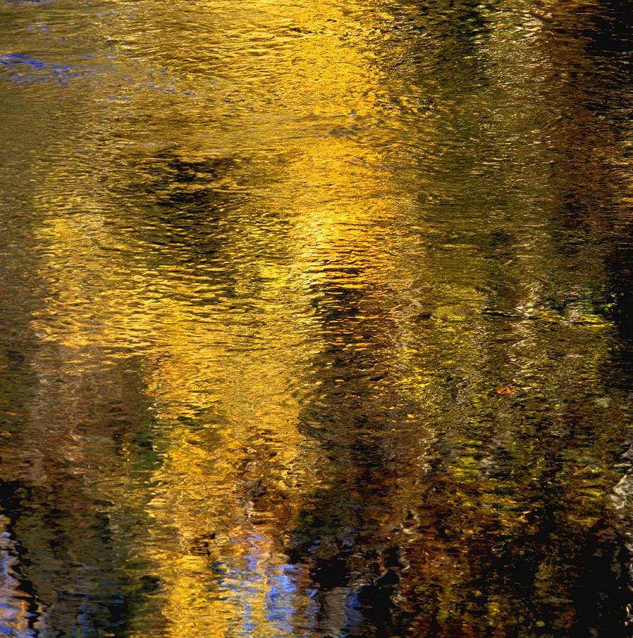 Reflections On The Water Photograph