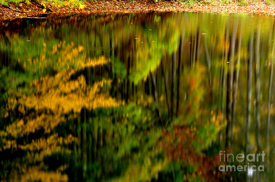 Abstract Photograph - Reflections by Thomas R Fletcher