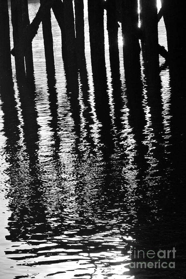 Reflective Abstract Vertical Photograph by Laura Mountainspring