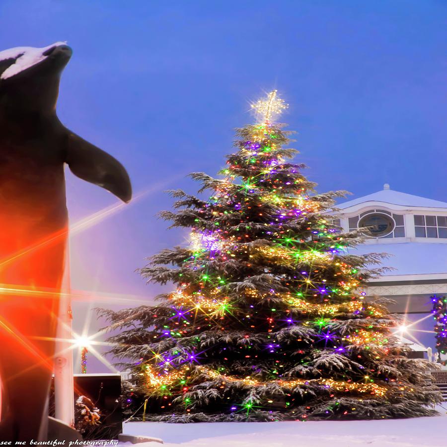 Rehoboth Beach Christmas Photograph By See Me Beautiful Photography