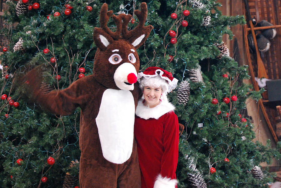 Reindeer and Mrs Claus Photograph by Teresa Blanton