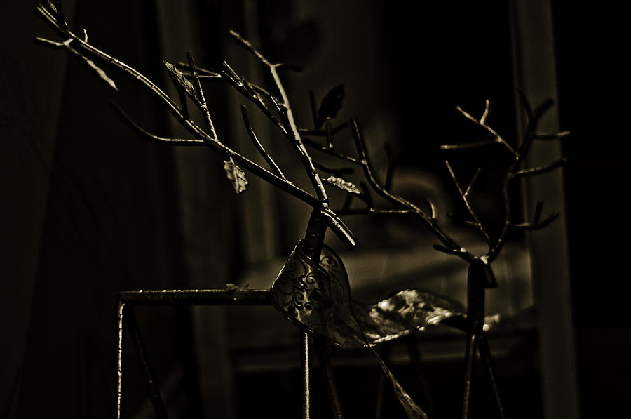 Lace Photograph - Reindeer Sleighs Are You Listening by  Kelly Hayner