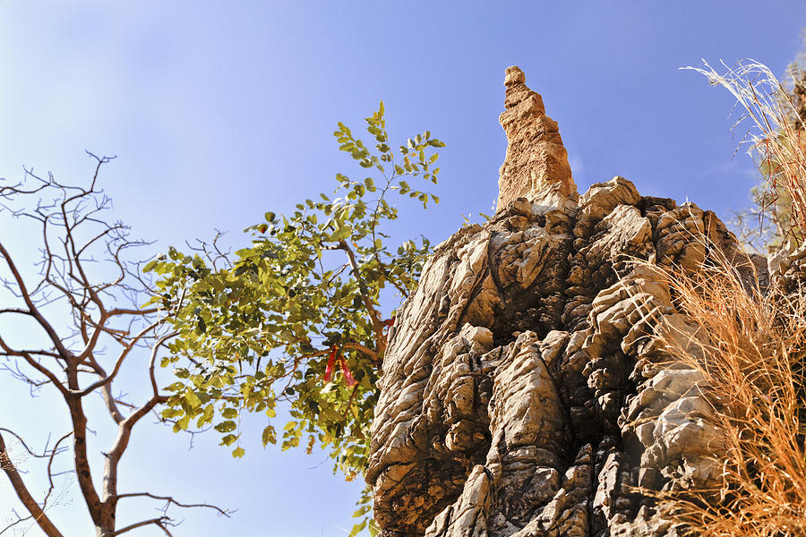 Tree Photograph - Religious Rock by Kantilal Patel