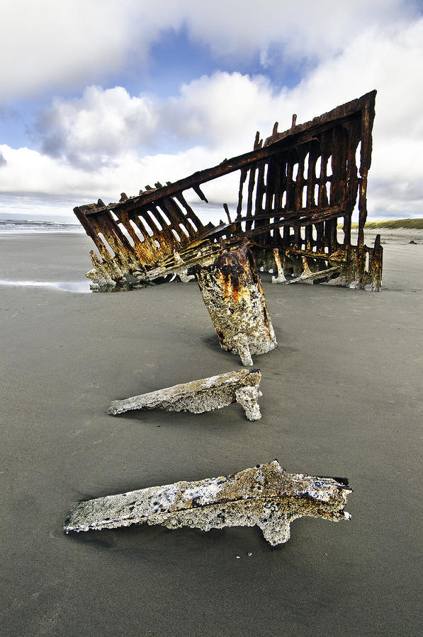 Remains Of The Shipwreck Peter Iredale by Melody Watson