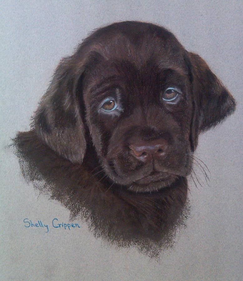 Remi Painting by Shelly Crippen - Fine Art America