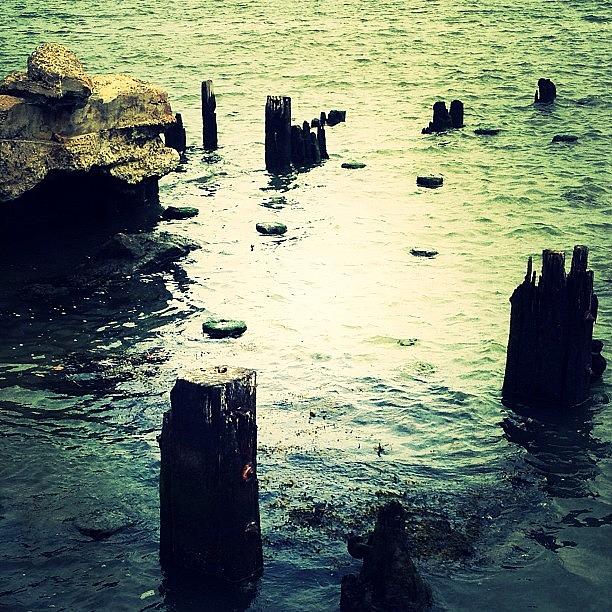 New York City Photograph - Remnants Of A Dock by Natasha Marco