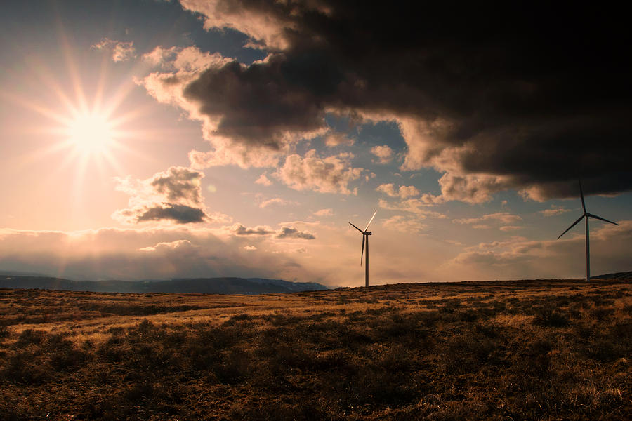 Renewable Energy Photograph by Dan Mihai