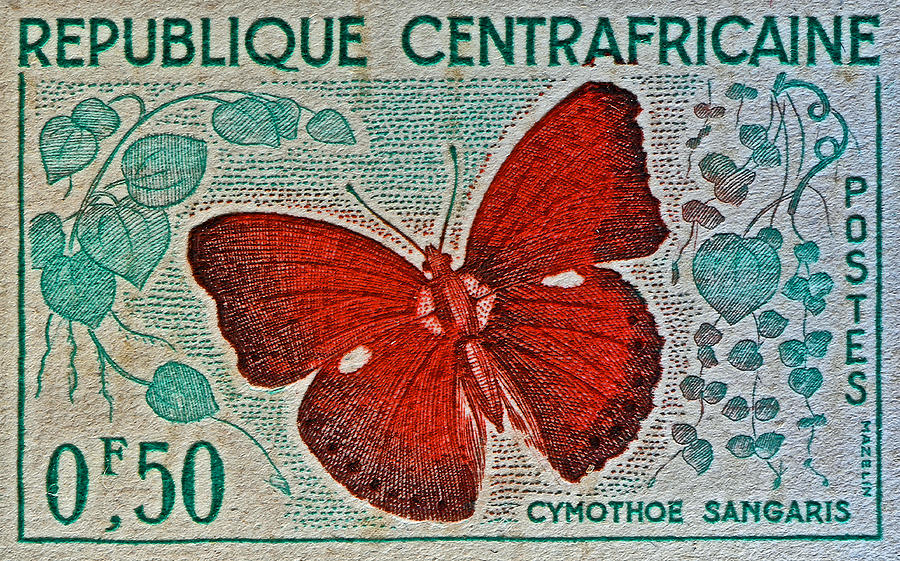 wild republic butterfly