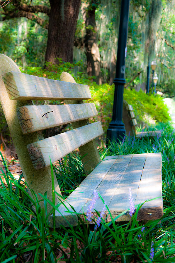 Park Bench Photograph - Rest by Sabrina Hall