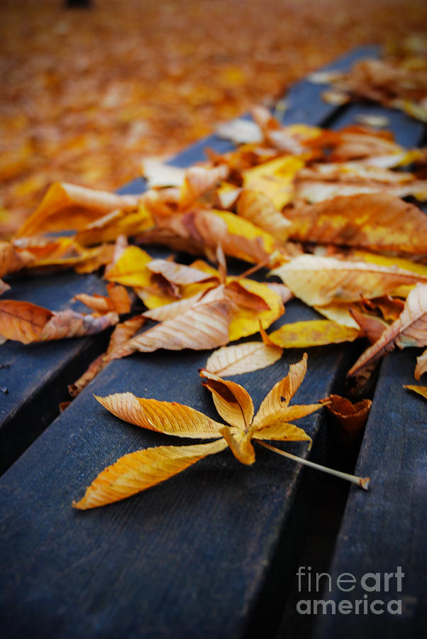 Resting Autumn Photograph by Hannes Cmarits Resting Autumn Photograph by Hannes Cmarits