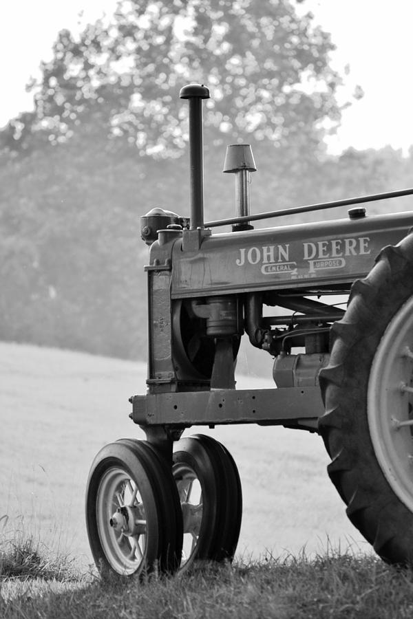 Resting in Black-and-white by JD Grimes Resting in Black-and-white by JD Grimes