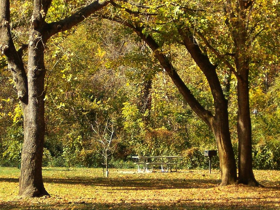 Resting Spot Photograph by Sara Raber - Fine Art America