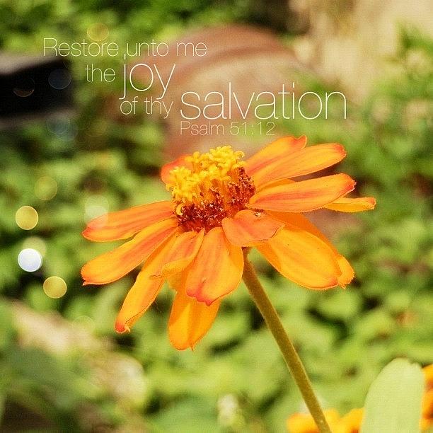 Nature Photograph - restore Unto Me The Joy Of Thy by Traci Beeson