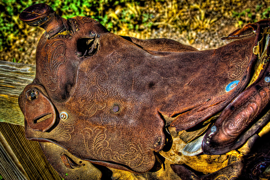 Retired Saddle Photograph by David Patterson