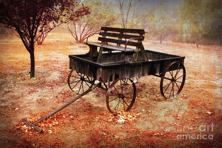 Vintage Photograph - Retired Wagon 2 by Leslie Kinney