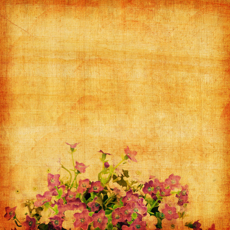 Retro Flower Pattern Photograph
