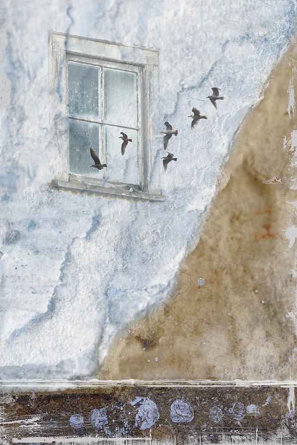 Gulls Photograph - Return Flight by Carol Leigh Gulls Photograph - Return Flight by Carol Leigh