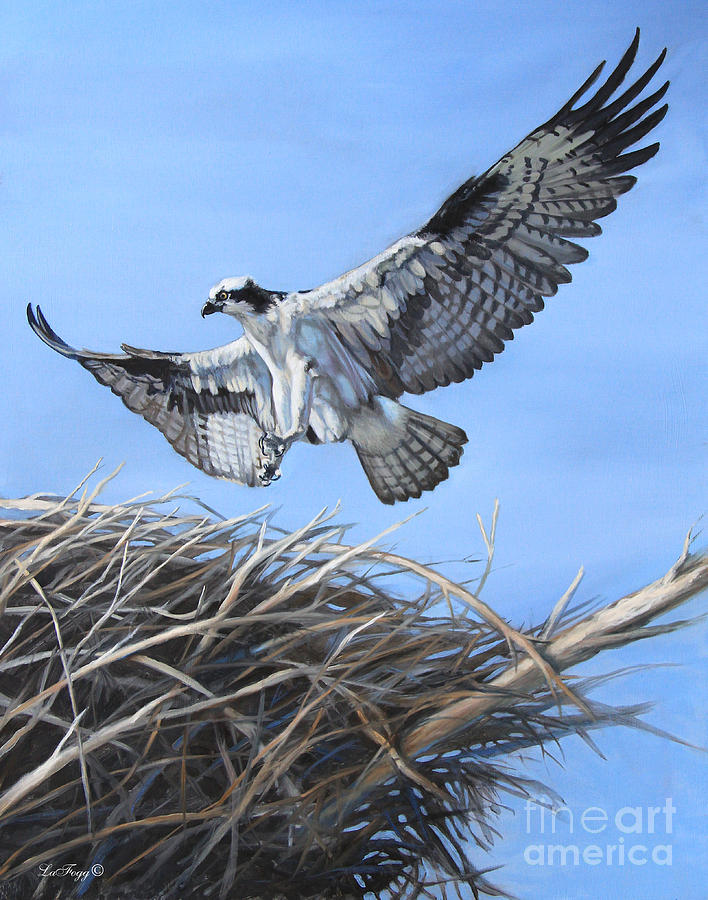 Osprey Painting - Return to the nest by Deb LaFogg-Docherty