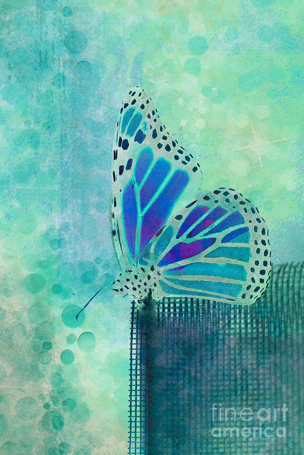 Butterfly Digital Art - Reve de Papillon - s02b by Variance Collections