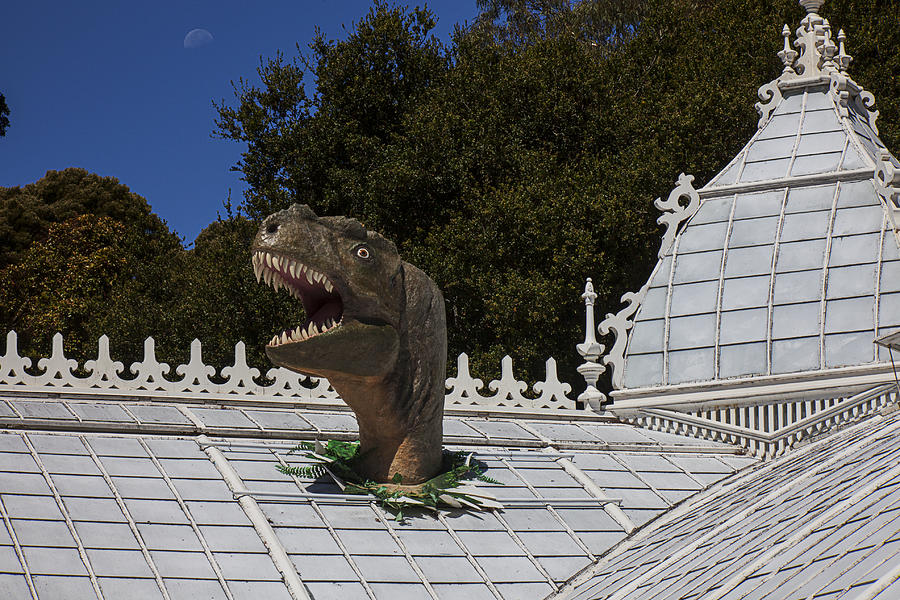 Prehistoric Photograph - Rex in the conservatory by Garry Gay
