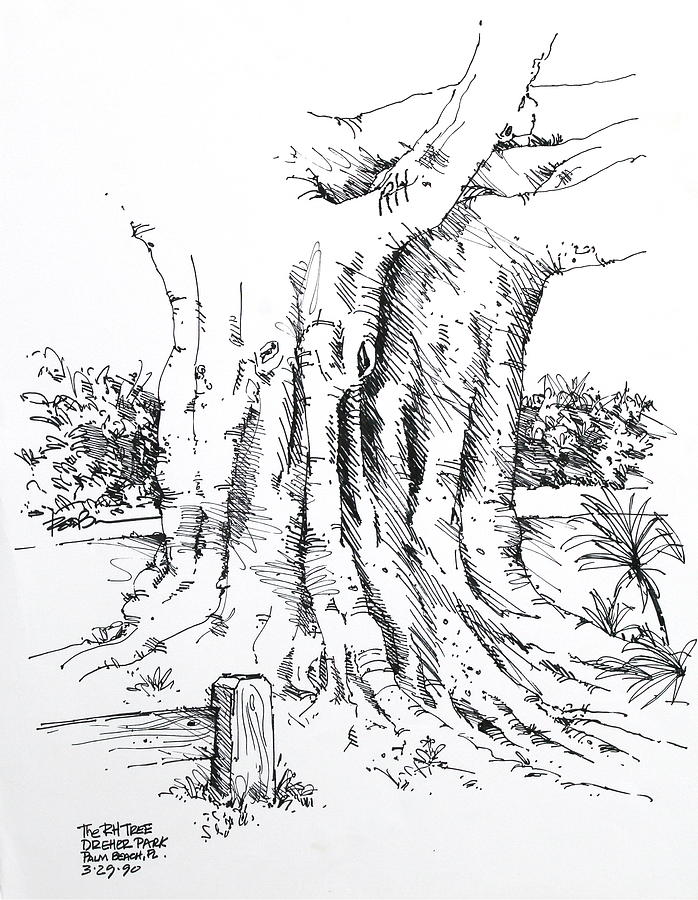 RH Tree in Palm Beach Florida Drawing by Robert Birkenes