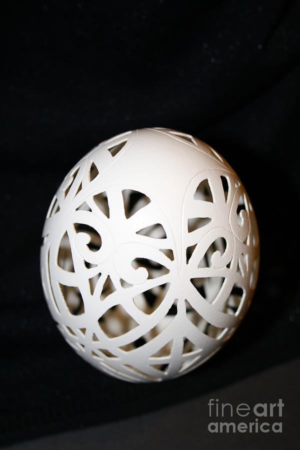 Rhea Eggshell Carved Photograph by Christina A Pacillo