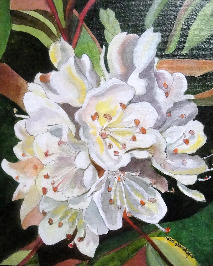 Rhododendron Painting by Edith Hunsberger