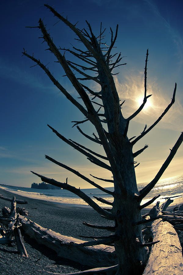 Seattle Photograph - Rialto Beach #2 by Peter Verdnik