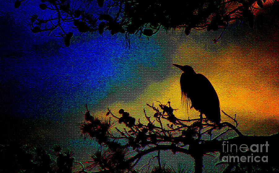 Wildlife Photograph - Richly Colored Night  by Ola Allen