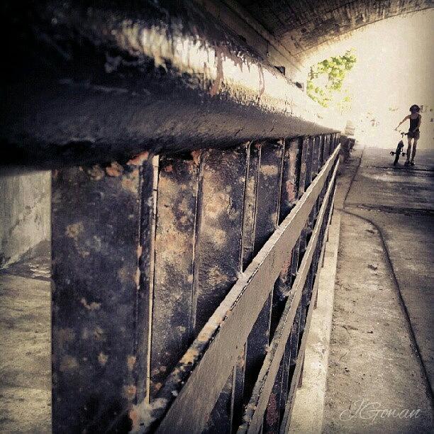 Canal Photograph - #rideaucanal #canal #ottawa #biker by Jess Gowan