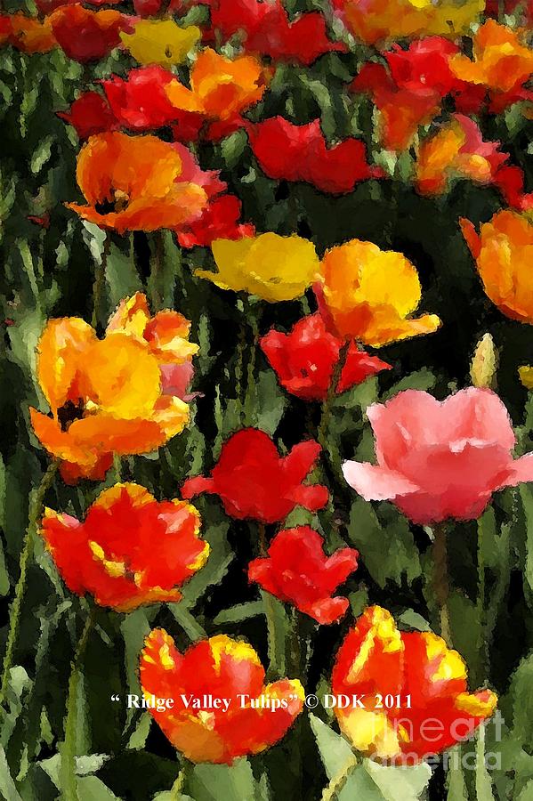 Ridge Valley Tulips Digital Art by Denise Dempsey Kane