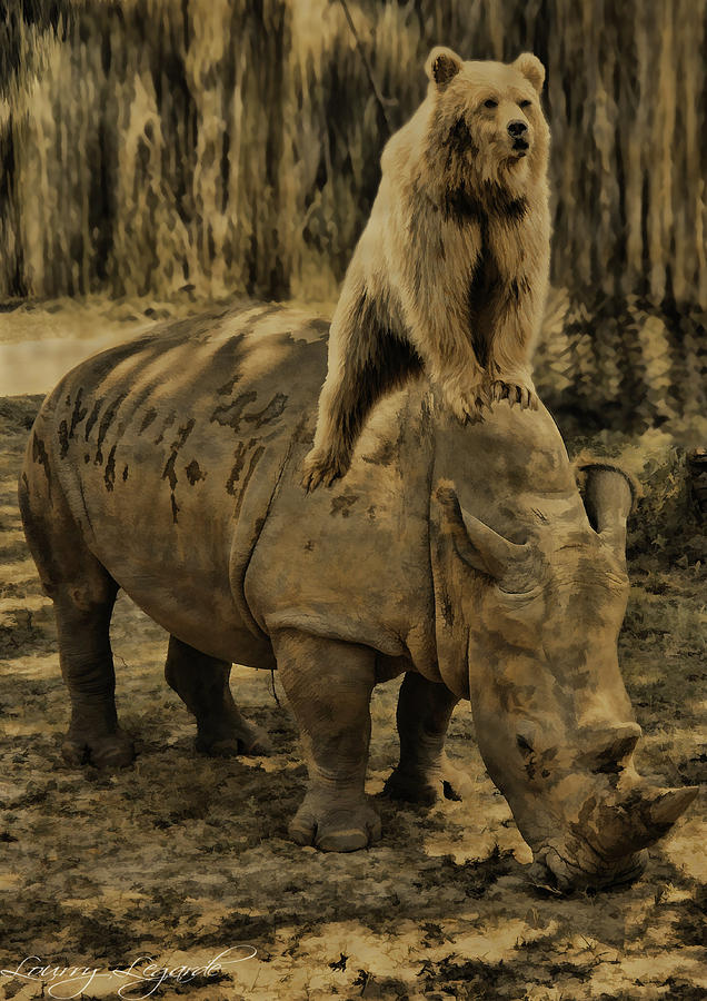Riding Along- Rhino and Bear Photograph by Lourry Legarde