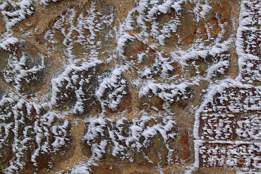 Rime-covered Brick And Stone Wall  by Mark Taylor