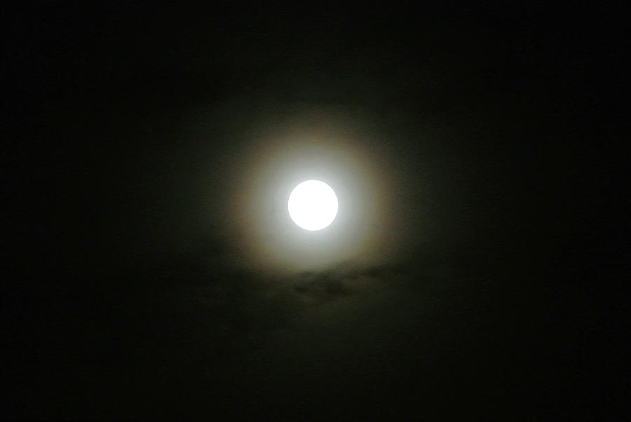 Moon Photograph - Ringed Moon by Lisa Iliff