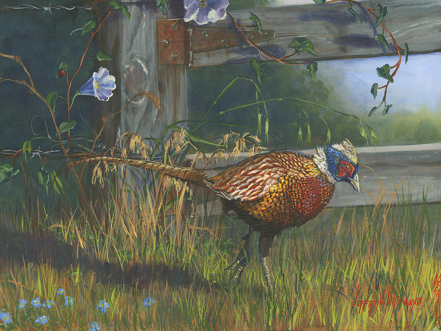 Ringneck Pheasant Painting by Jeff Brimley