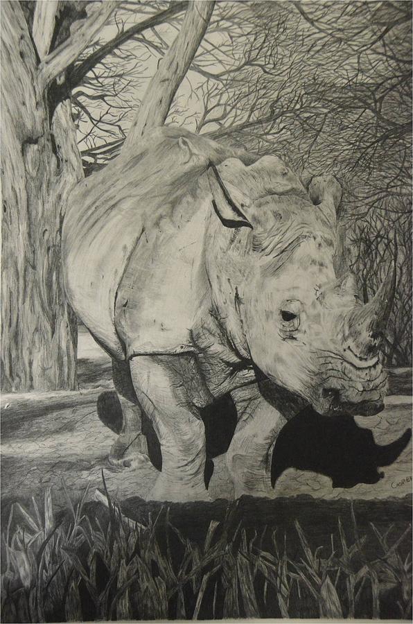 Wildlife Drawing - Rino in wild by Casper Venter