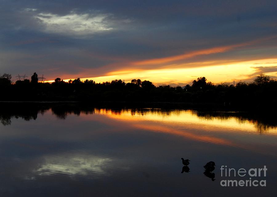 Riparian Sunset Photograph by Tam Ryan