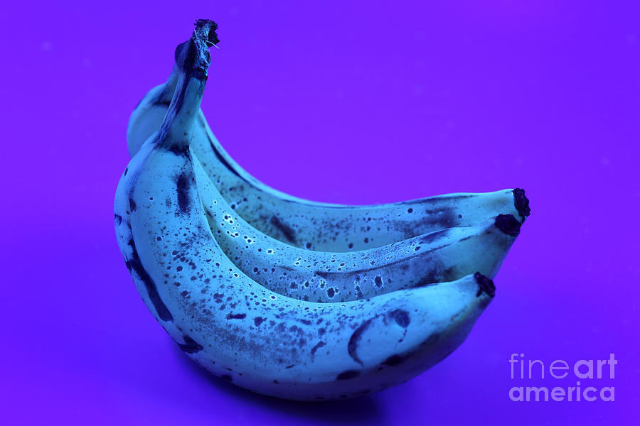 Banana Photograph - Ripe Bananas In Uv Light 22 by Ted Kinsman