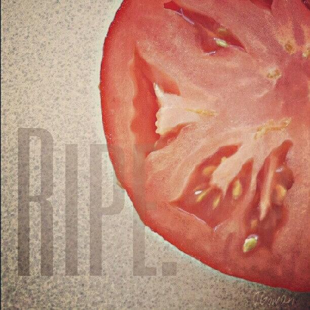 Tomato Photograph - Ripe. #ripe #tomato #veggie #vegetable by Jess Gowan