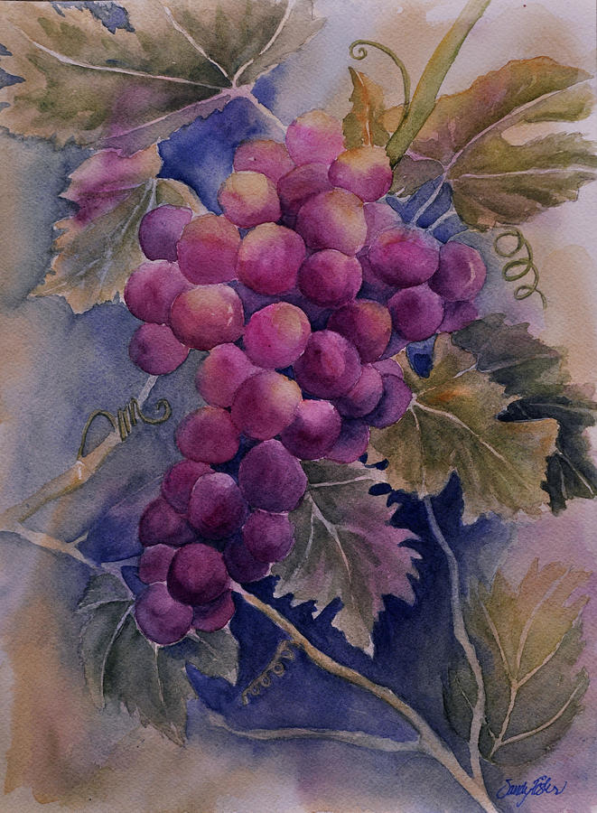 Ripening on the Vine Painting by Sandy Fisher