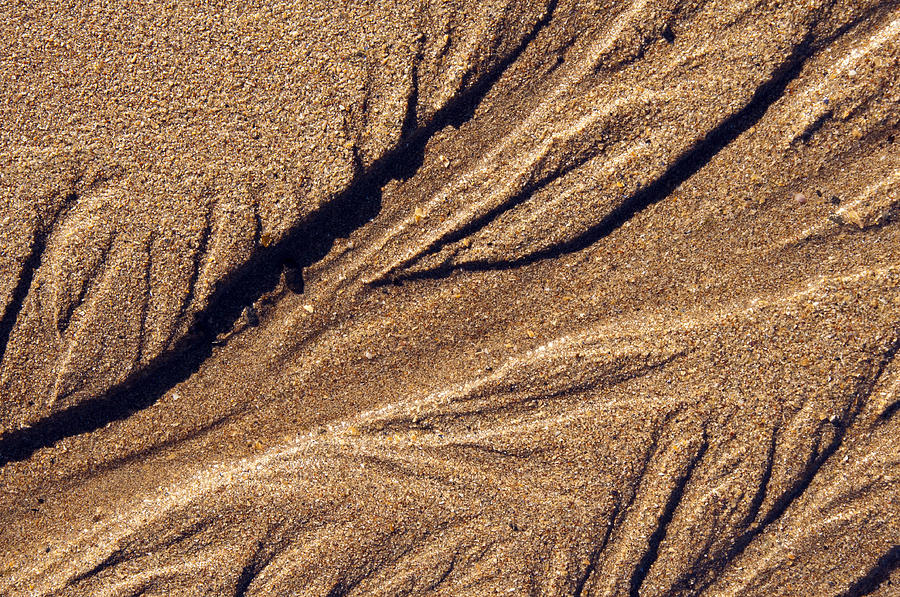 Ripples in the Sand Photograph by Glenn Gordon