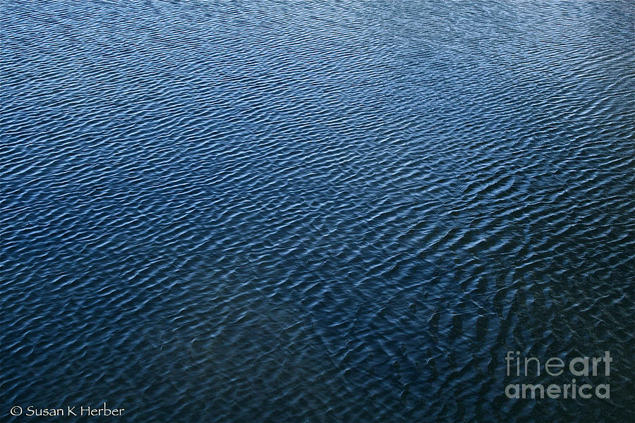 Ripples Photograph by Susan Herber