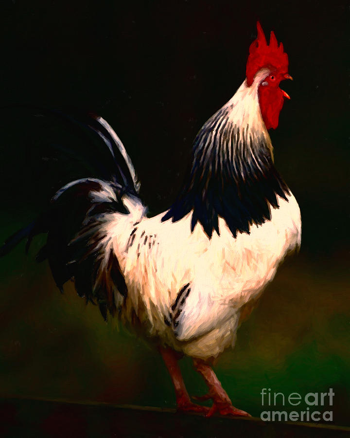 Rise and Shine Early Morning Rooster - Painterly Photograph by Wingsdomain Art and Photography